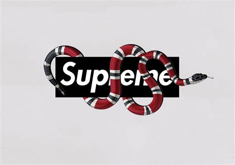 is supreme made by gucci